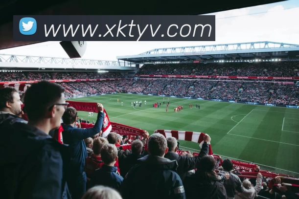 星空体育服务体系